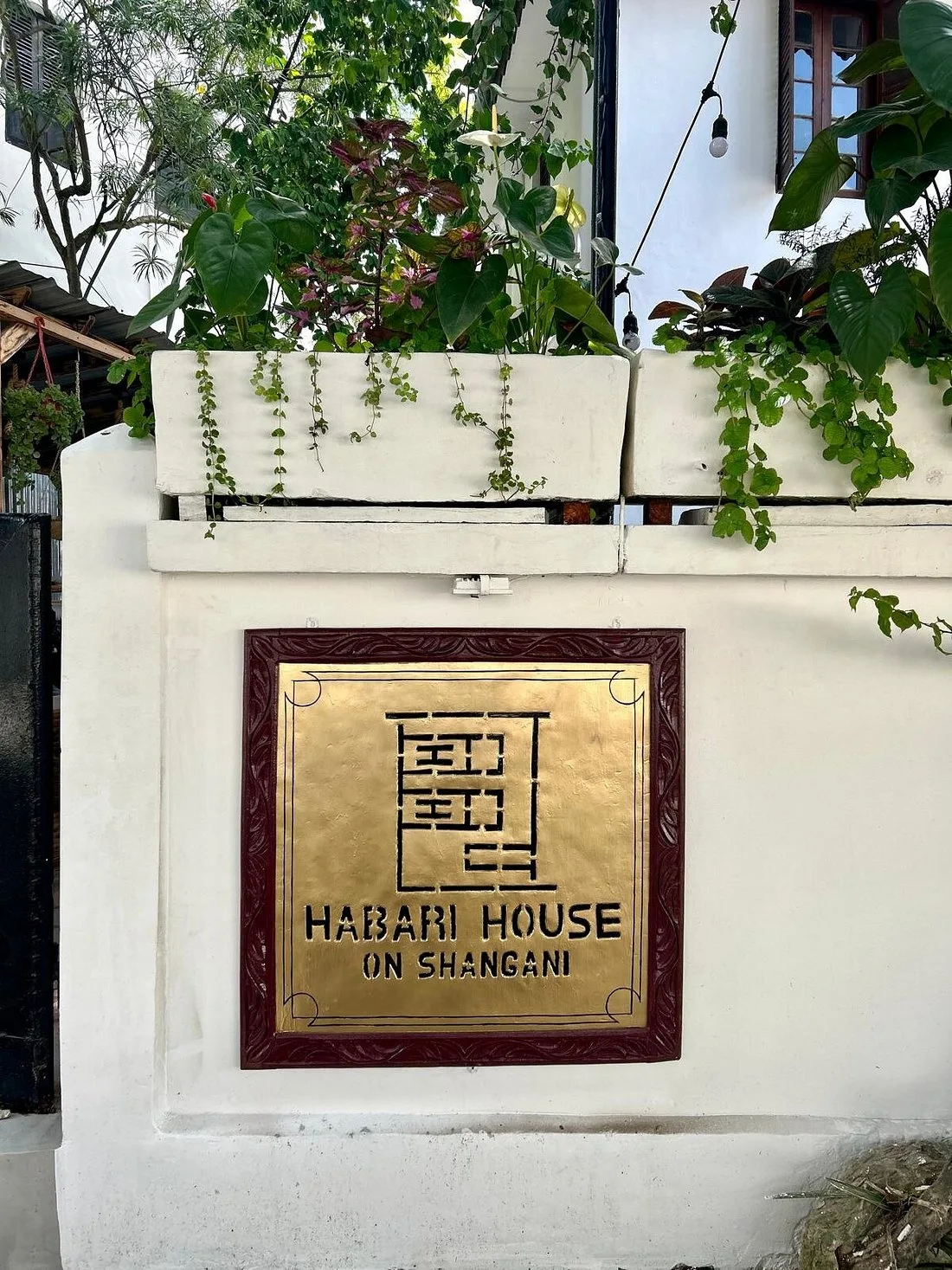 Brass Habari House on Shangani sign in a carved wooden frame on a white wall, with plants spilling over the top