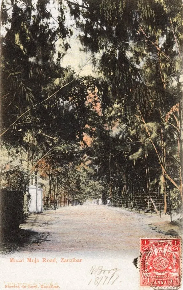 Vintage postcard of a tree-lined road with a Zanzibar stamp
