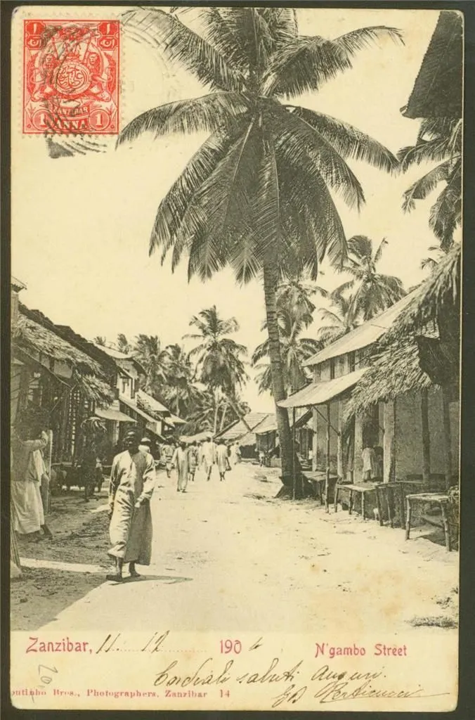Vintage postcard of a palm-lined street with thatched houses