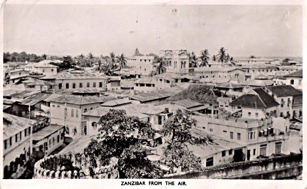 Vintage aerial photo over the rooftops of Stone Town